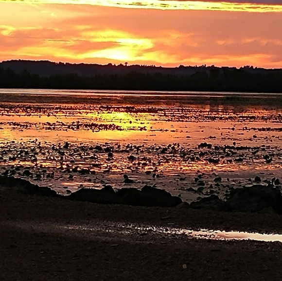 Meet your Posher, Andrea - Picture 1 of 1